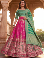 Anouk Rustic Zari Woven Semi-Stitched Lehenga with Dupatta view 16