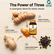 Organic Wellness Turmeric Curcumin 90 Veg Capsules | Organic Turmeric with Black Pepper | Joint, Imm