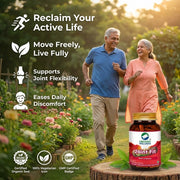 Organic Wellness Joint Fit 90 Veg Capsules | Ashwagandha, Guduchi, Motha & Tulsi | Joint Pain, Stiff