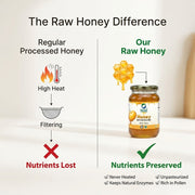 Organic Wellness Raw Wild Forest Honey 350g | Unheated & Unprocessed | Immunity & Natural Energy
