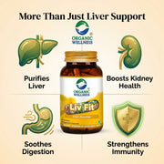 Organic Wellness Liv Fit 90 Veg Capsules | Kutki, Punarnava & Bhumi Amla | Liver Detox & Fatty Liver