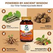 Organic Wellness Uric Balance 90 Veg Capsules | Healthy Uric Acid, Joint & Kidney Support