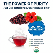Organic Wellness Blossom Hibiscus 100g Tin | Dried Hibiscus Flower Tea | Caffeine Free, Antioxidant-