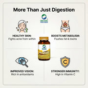Organic Wellness Triphala 90 Veg Capsules | Amla, Bibhitaki & Haritaki | Digestion, Detox & Regular 