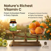 Organic Wellness Amla C+ 90 Veg Capsules | Organic Indian Gooseberry, Natural Vitamin C | Immunity, 