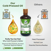 Organic Wellness Cold-Pressed Castor Oil 100ml | For Hair Growth, Eyelashes, Eyebrows & Dry Skin