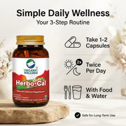 Organic Wellness Herbo-Cal 90 Veg Capsules | Hadjod, Moringa & Shatavari | Natural Calcium for Bone 