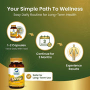 Organic Wellness Liv Fit 90 Veg Capsules | Kutki, Punarnava & Bhumi Amla | Liver Detox & Fatty Liver
