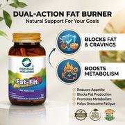 Organic Wellness Fat-Fit 90 Veg Capsules | Garcinia Cambogia & Forskolin | Natural Weight Management