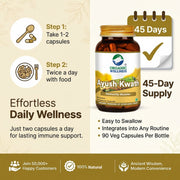 Organic Wellness Ayush Kwath 90 Veg Capsules | Tulsi, Cinnamon, Ginger & Black Pepper Kadha | Immuni