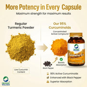 Organic Wellness Turmeric Curcumin 90 Veg Capsules | Organic Turmeric with Black Pepper | Joint, Imm