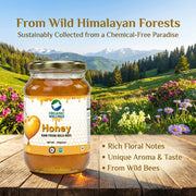 Organic Wellness Raw Wild Forest Honey 350g | Unheated & Unprocessed | Immunity & Natural Energy