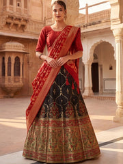 Anouk Rustic Zari Woven Semi-Stitched Lehenga with Dupatta view 22