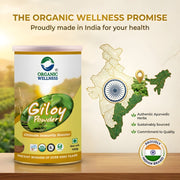 Organic Wellness Giloy Powder 100g | Organic Guduchi Stem Powder | Immunity & Fever Recovery