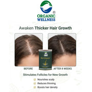 Organic Wellness Herbal Hair Cleanser Powder 100g Tin | Reetha, Shikakai & Amla Natural Shampoo