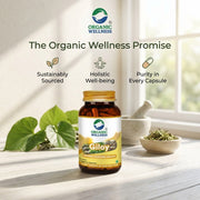 Organic Wellness Giloy 90 Veg Capsules | Organic Guduchi (Tinospora Cordifolia) | Immunity & Seasona