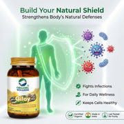 Organic Wellness Fat-Fit 90 Veg Capsules | Garcinia Cambogia & Forskolin | Natural Weight Management