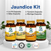 Organic Wellness Jaundice Care Kit | Liv Fit & Ayurvedic Liver Support Capsules