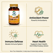 Organic Wellness Cinnamon 90 Veg Capsules | Organic Dalchini | Blood Sugar, Metabolism & Heart Suppo