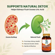 Organic Wellness Uric Balance 90 Veg Capsules | Healthy Uric Acid, Joint & Kidney Support