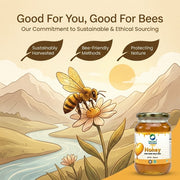 Organic Wellness Raw Wild Forest Honey 350g | Unheated & Unprocessed | Immunity & Natural Energy