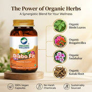 Organic Wellness Diabo-Fit 90 Veg Capsules | Ivy Gourd, Sadabahar & Bougainvillea | Healthy Blood Su
