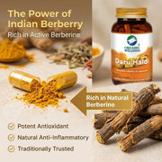 Organic Wellness Daru Haldi 90 Veg Capsules | Berberis Aristata (Berberine) | Blood Sugar, Liver & S