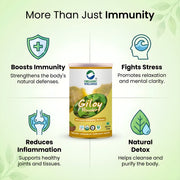 Organic Wellness Giloy Powder 100g | Organic Guduchi Stem Powder | Immunity & Fever Recovery