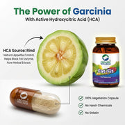 Organic Wellness Fat-Fit 90 Veg Capsules | Garcinia Cambogia & Forskolin | Natural Weight Management