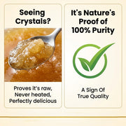 Organic Wellness Raw Wild Forest Honey 350g | Unheated & Unprocessed | Immunity & Natural Energy