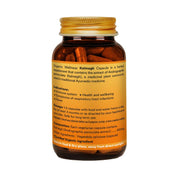 Organic Wellness Kalmegh 90 Veg Capsules | Andrographis Paniculata | Liver, Immunity & Fever Recover