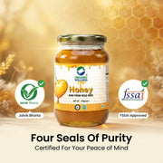 Organic Wellness Raw Wild Forest Honey 350g | Unheated & Unprocessed | Immunity & Natural Energy