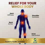 Organic Wellness Pain-R Oil 100ml | Ayurvedic Pain Relief Oil for Joints, Back & Muscles