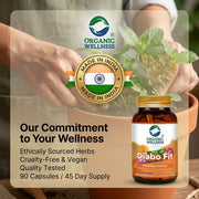Organic Wellness Diabo-Fit 90 Veg Capsules | Ivy Gourd, Sadabahar & Bougainvillea | Healthy Blood Su