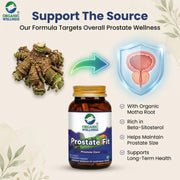 Organic Wellness Prostate-Fit 90 Veg Capsules | Beta-Sitosterol, Turmeric, Tulsi & Neem | Prostate &