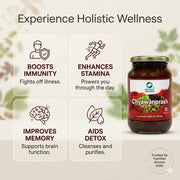 Organic Wellness Chyawanprash 350g | Amla & Ayurvedic Herbs with Ghee and Honey | Immunity & Stamina
