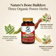 Organic Wellness Herbo-Cal 90 Veg Capsules | Hadjod, Moringa & Shatavari | Natural Calcium for Bone 