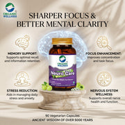 Organic Wellness Neuro Care 90 Veg Capsules | Jyotishmati & Brahmi | Nervous System, Memory & Focus