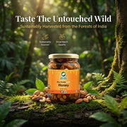 Organic Wellness Dry Fruits with Honey 350g | Almonds, Cashews & Raisins in Raw Wild Honey | Energy 