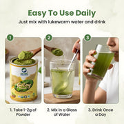 Organic Wellness Giloy Powder 100g | Organic Guduchi Stem Powder | Immunity & Fever Recovery
