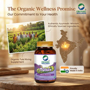 Organic Wellness Tulsi+ 90 Veg Capsules | Rama, Krishna & Vana Tulsi | Stress, Immunity & Respirator