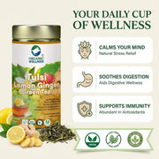 Organic Wellness Tulsi Lemon Ginger Green Tea 100g Tin | Loose Leaf | Immunity & Digestion