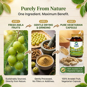 Organic Wellness Amla C+ 90 Veg Capsules | Organic Indian Gooseberry, Natural Vitamin C | Immunity, 