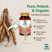 Organic Wellness Shatavari A+ 90 Veg Capsules | Organic Asparagus Racemosus Root | Women's Hormonal 