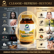 Organic Wellness Punarnava 90 Veg Capsules | Organic Boerhavia Diffusa | Kidney, Liver & Water Reten