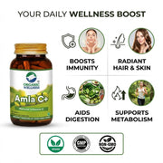 Organic Wellness Amla C+ 90 Veg Capsules | Organic Indian Gooseberry, Natural Vitamin C | Immunity, 