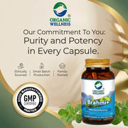 Organic Wellness Brahmi+ 90 Veg Capsules | Organic Bacopa Monnieri | Memory, Focus & Calm Mind