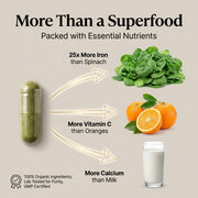 Organic Wellness Moringa Essential Nutrition 90 Veg Capsules | Organic Sahjan Drumstick Leaf | Iron,