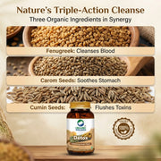 Organic Wellness Detox 90 Veg Capsules | Fenugreek, Ajwain & Black Cumin | Body Cleanse & Gut Detox