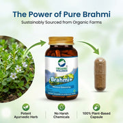 Organic Wellness Brahmi+ 90 Veg Capsules | Organic Bacopa Monnieri | Memory, Focus & Calm Mind